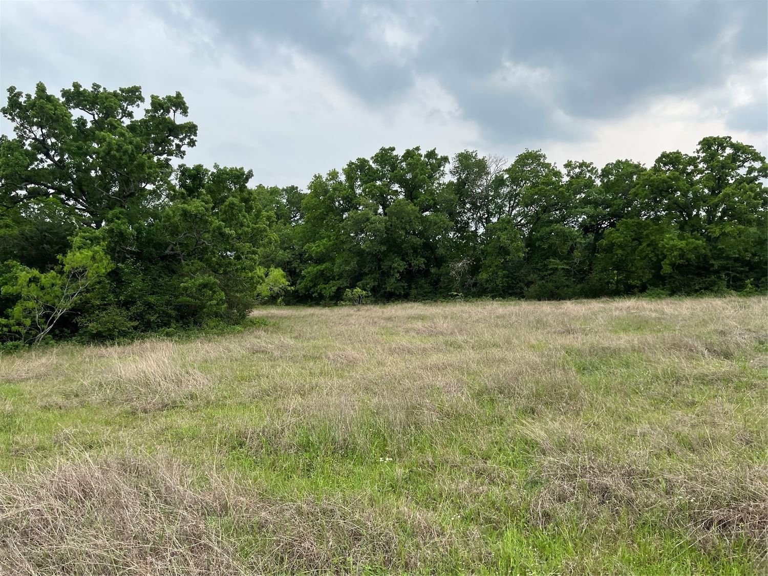 Real estate property located at TBD County Rd 458, Leon, AB 31 B F WHITAKER, Normangee, TX, US