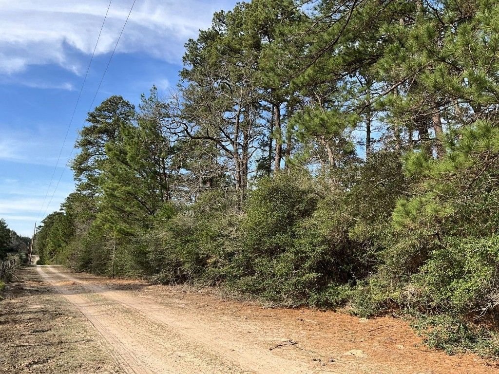 Real estate property located at TBD Tbd St Hwy 7 E, Leon, Centerville, TX, US