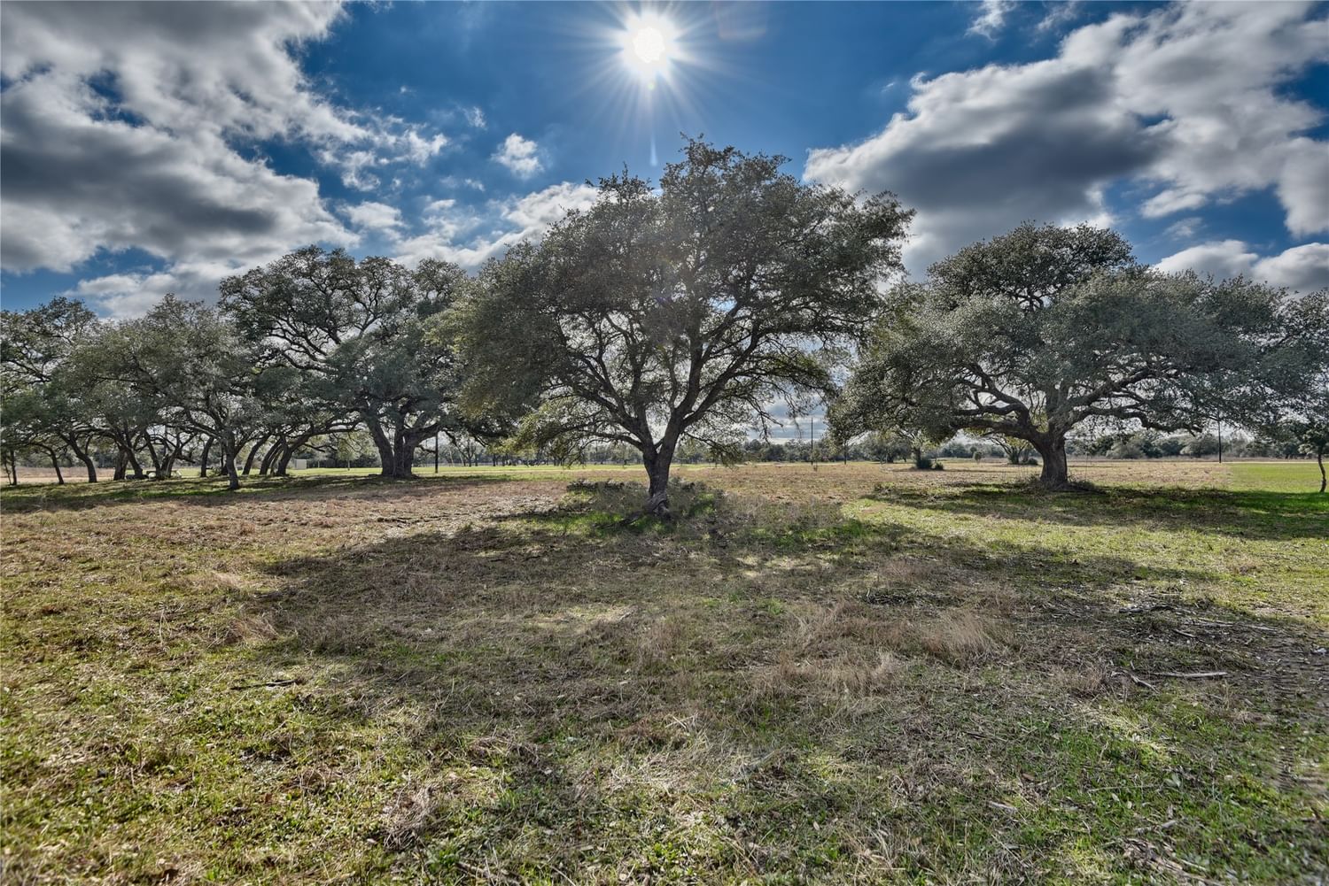 Real estate property located at TBD Legacy Oaks Lane, Colorado, Legacy Oaks, Columbus, TX, US