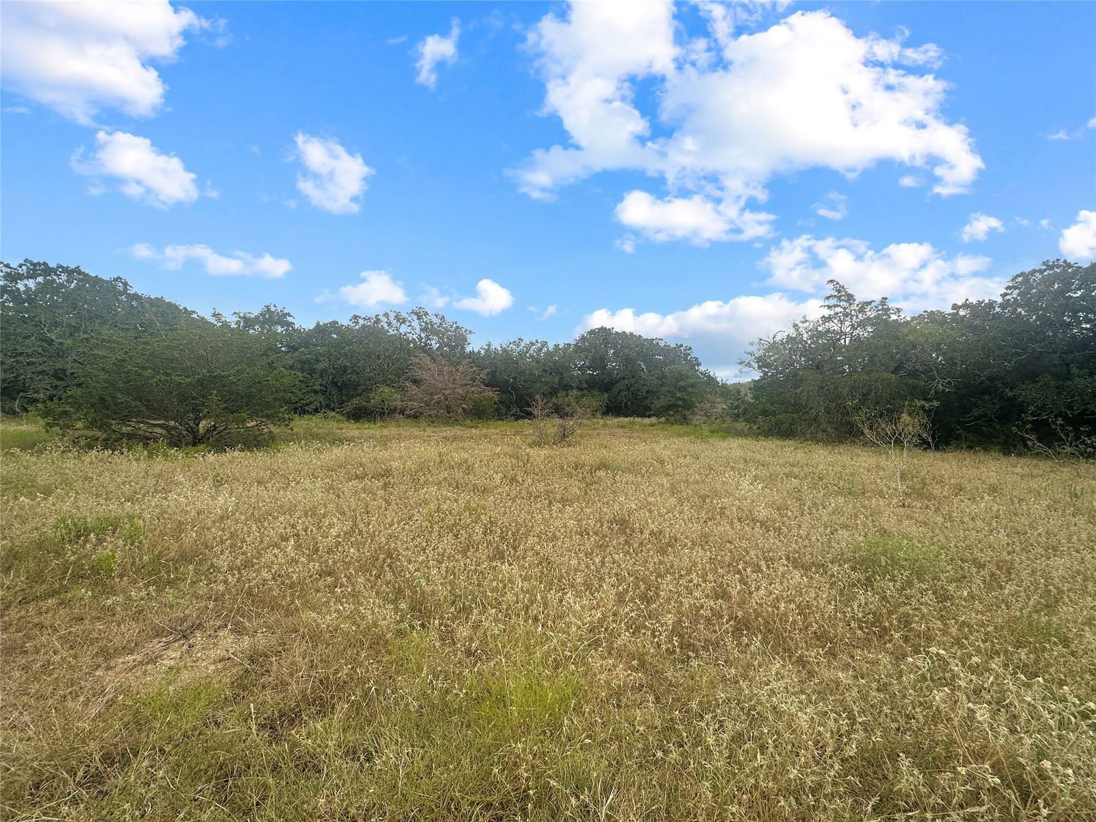 Real estate property located at 33 +/- acres Davis, Fayette, ABS A144 BBB & CRRC, Muldoon, TX, US