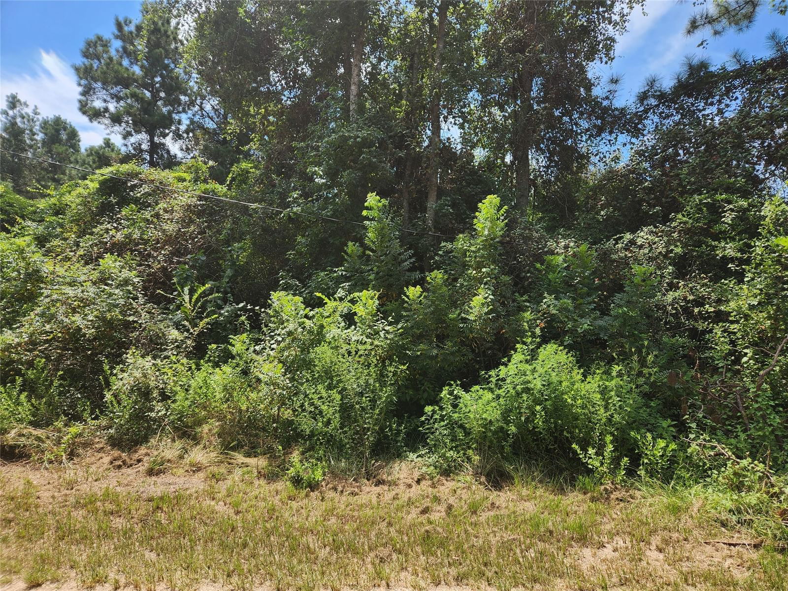 Real estate property located at Lot 26 Mayhaw, Grimes, Pinebrook, Plantersville, TX, US