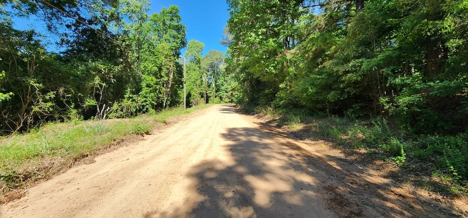 Real estate property located at TBD Lakeview Dr, Polk, Crystal Lakes Sec 1, Livingston, TX, US