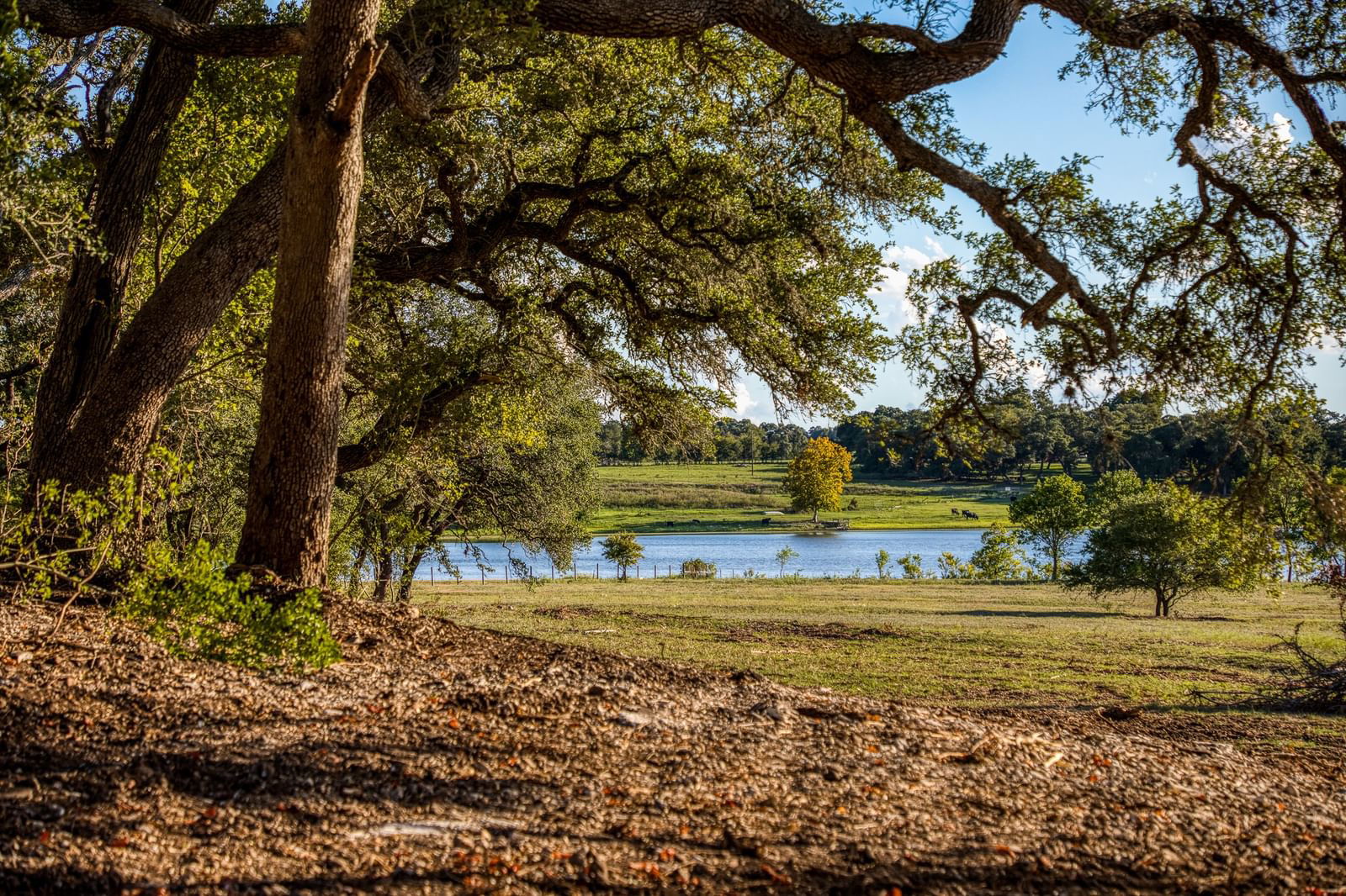 Real estate property located at 0 Bauer Rd, Fayette, The Oaks at Round Top, Fayetteville, TX, US