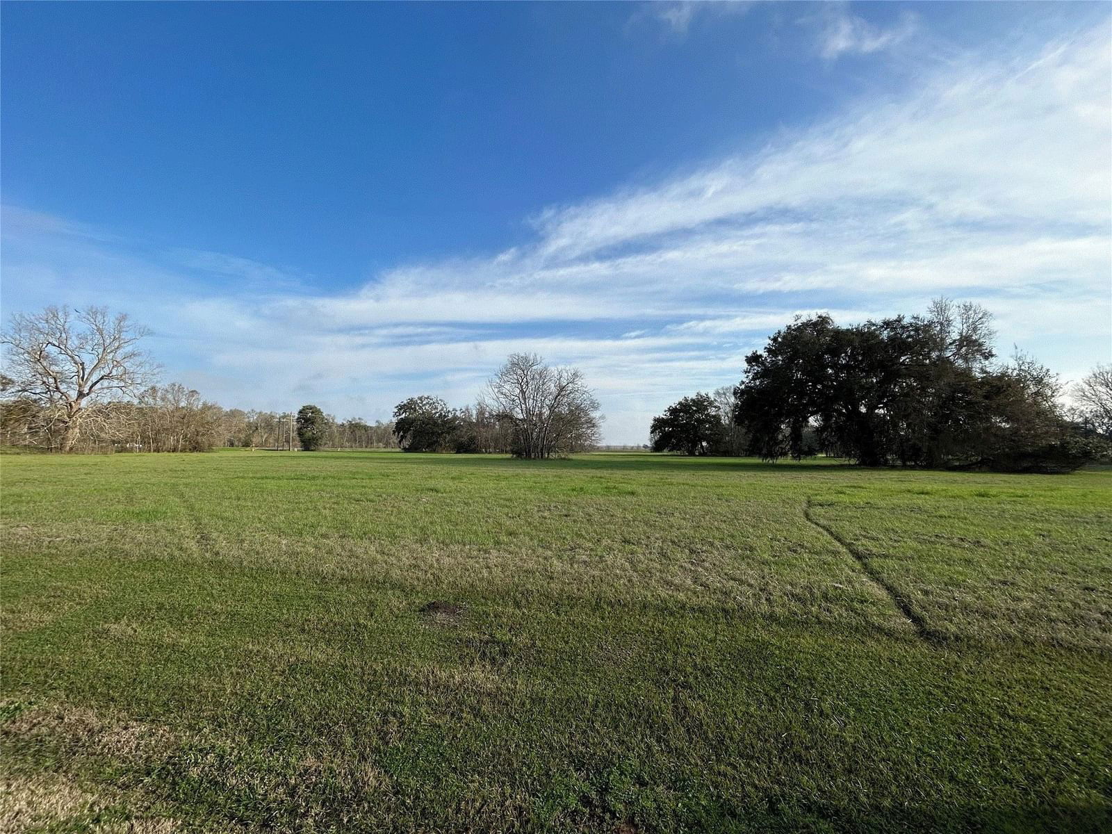 Real estate property located at 101 Cattle Drive, Brazoria, Bar X Ranch Sec 12a-12b-12c-12, Angleton, TX, US