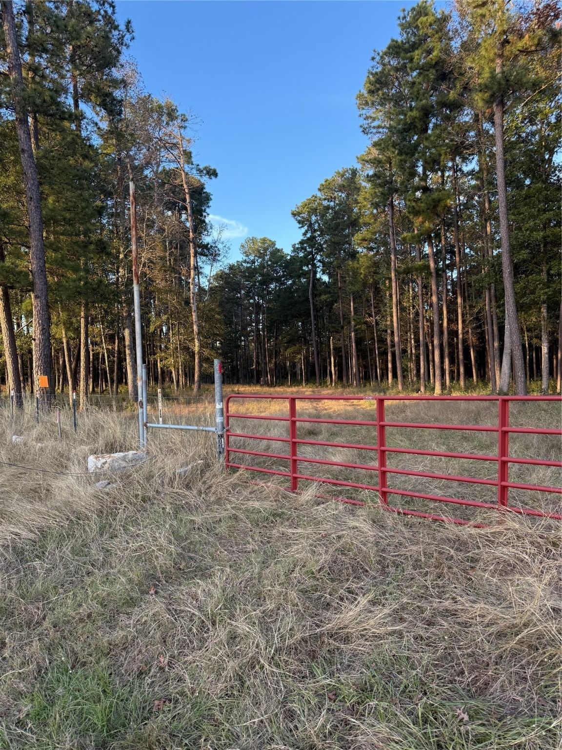 Real estate property located at TBD Alabama Point, Polk, 0, Livingston, TX, US