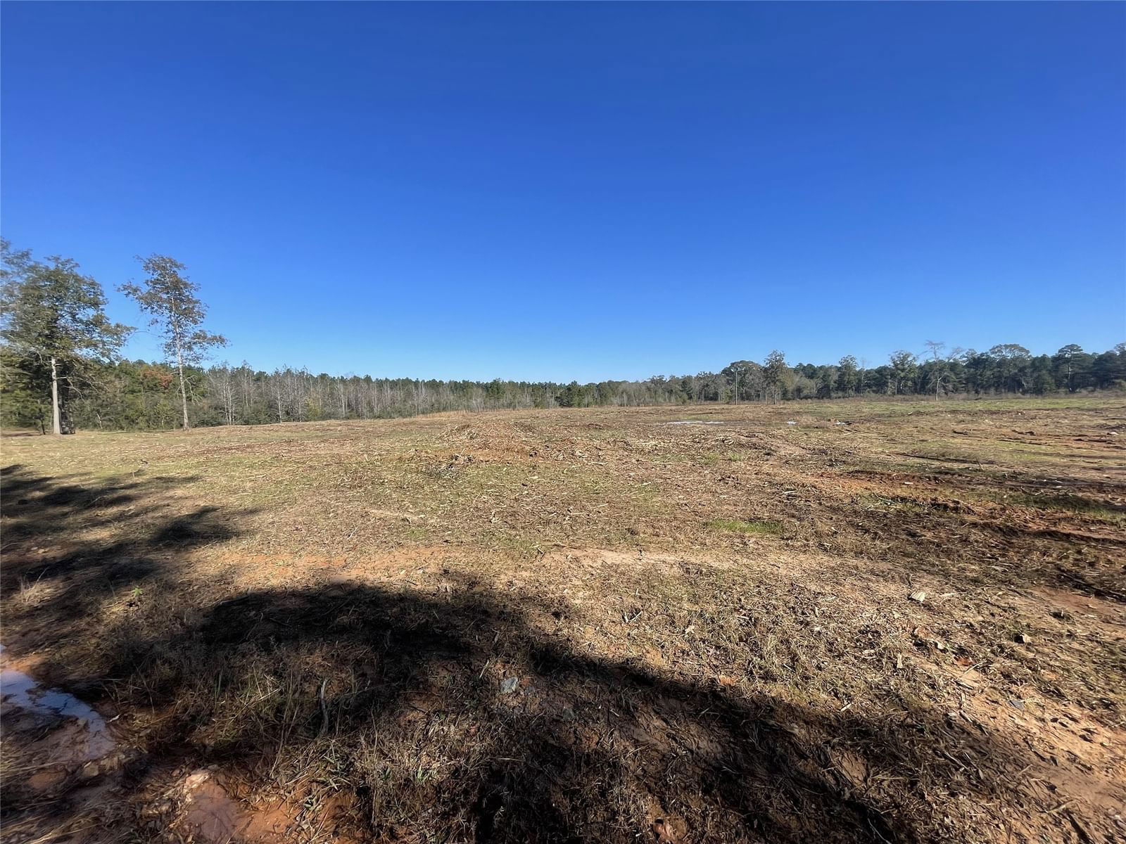 Real estate property located at TBD County Road 4505, Shelby, NA, Tenaha, TX, US