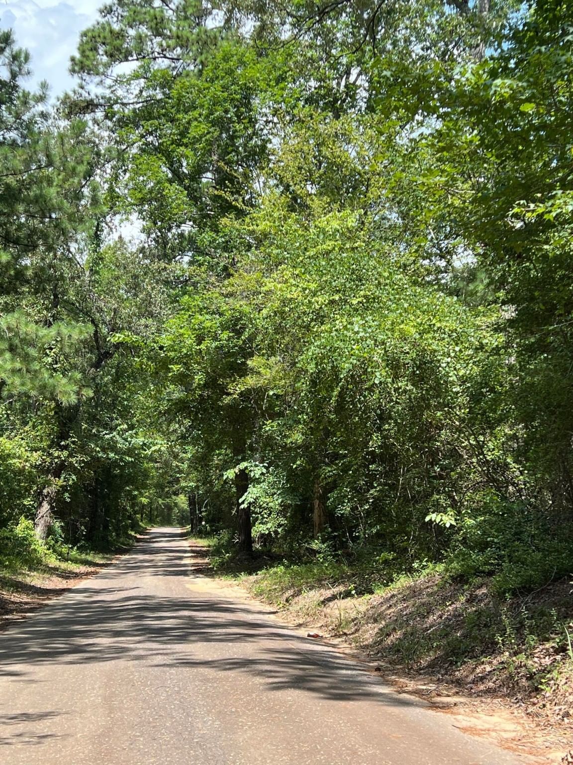 Real estate property located at TBD 15 ac County Road 87, Jasper, na, Jasper, TX, US