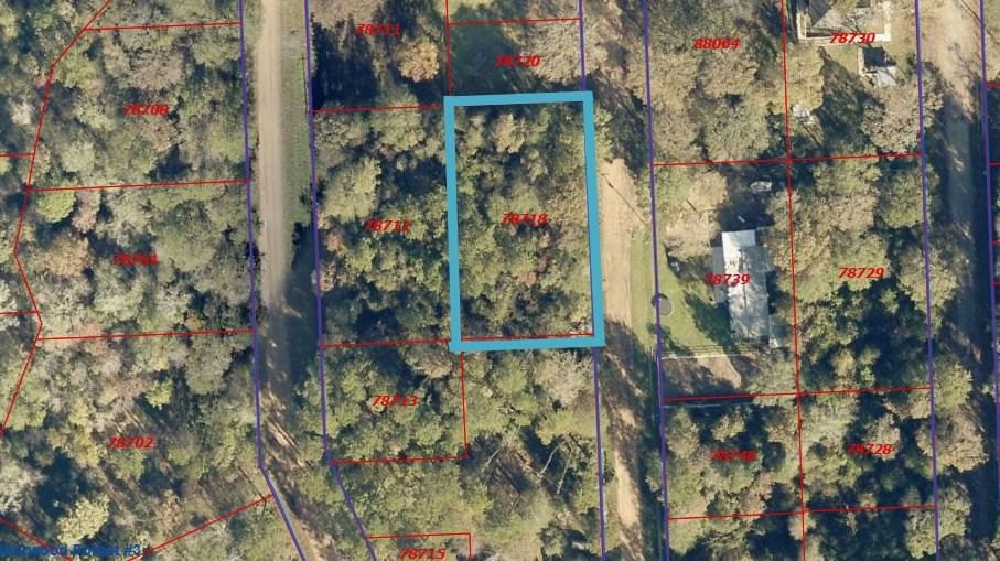 Real estate property located at LOT 8 Dogwood, San Jacinto, Sherwood Forest #3, Shepherd, TX, US