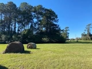 Real estate property located at 12404 Bagwell, Montgomery, Lonis Geo W., Willis, TX, US