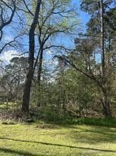 Real estate property located at 000 Evergreen, San Jacinto, North Woods #5, Point Blank, TX, US