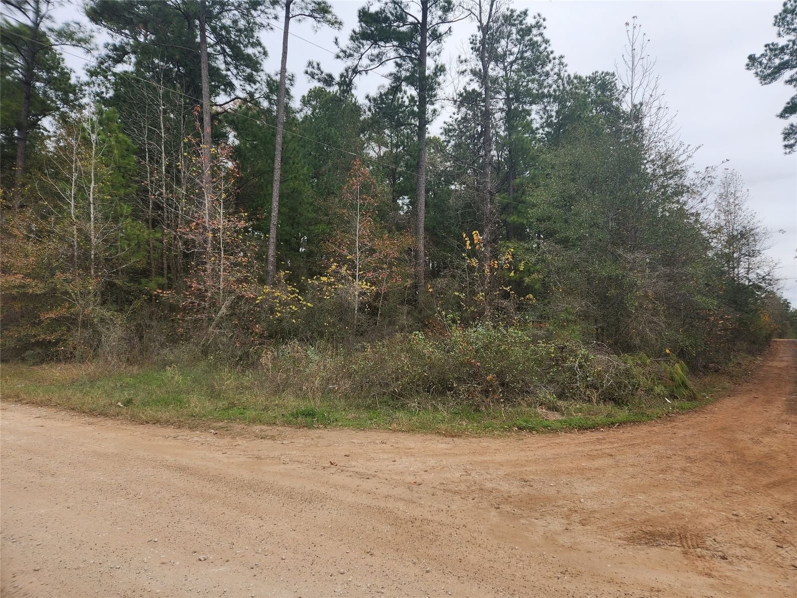 Real estate property located at Lot 1 Yupon, Grimes, Pinebrook, Plantersville, TX, US