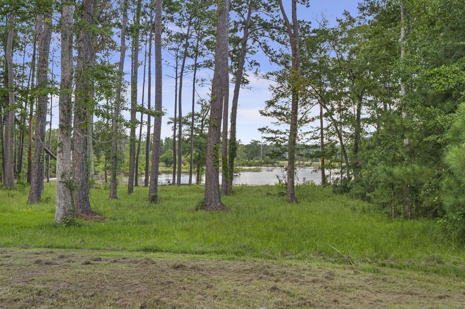 Real estate property located at 257 County Road 223, Jasper, Mulberry Beach, Brookeland, TX, US