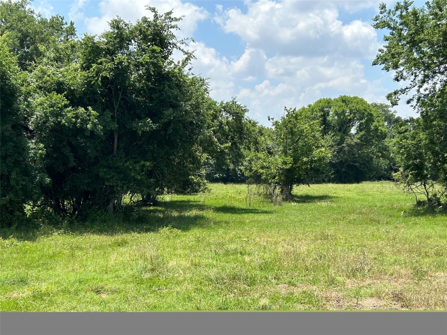 Real estate property located at 9158 County Road 103, Grimes, Tract 3, Iola, TX, US
