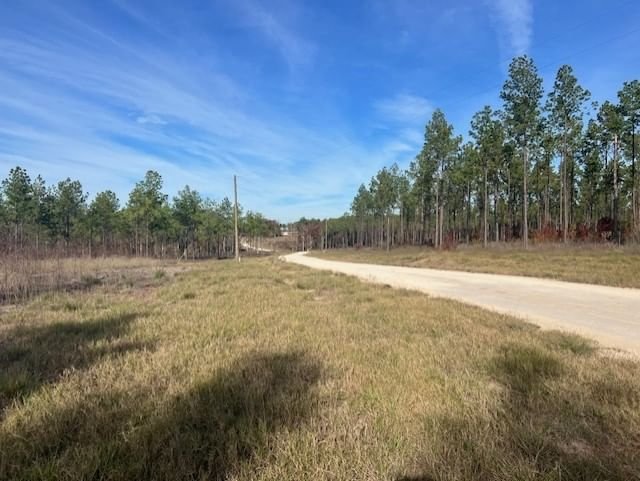 Real estate property located at TBD 39 Aggie, Polk, Rolling Pines, Livingston, TX, US