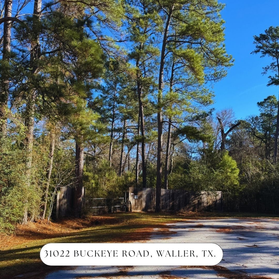 Real estate property located at 31022 Buckeye, Waller, West Magnolia Forest 11, Waller, TX, US