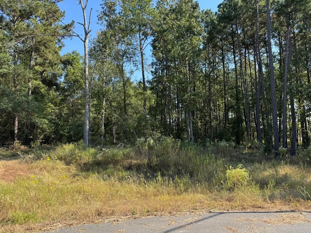 Real estate property located at 129 Yaupon, Angelina, Shirey Forest, Lufkin, TX, US