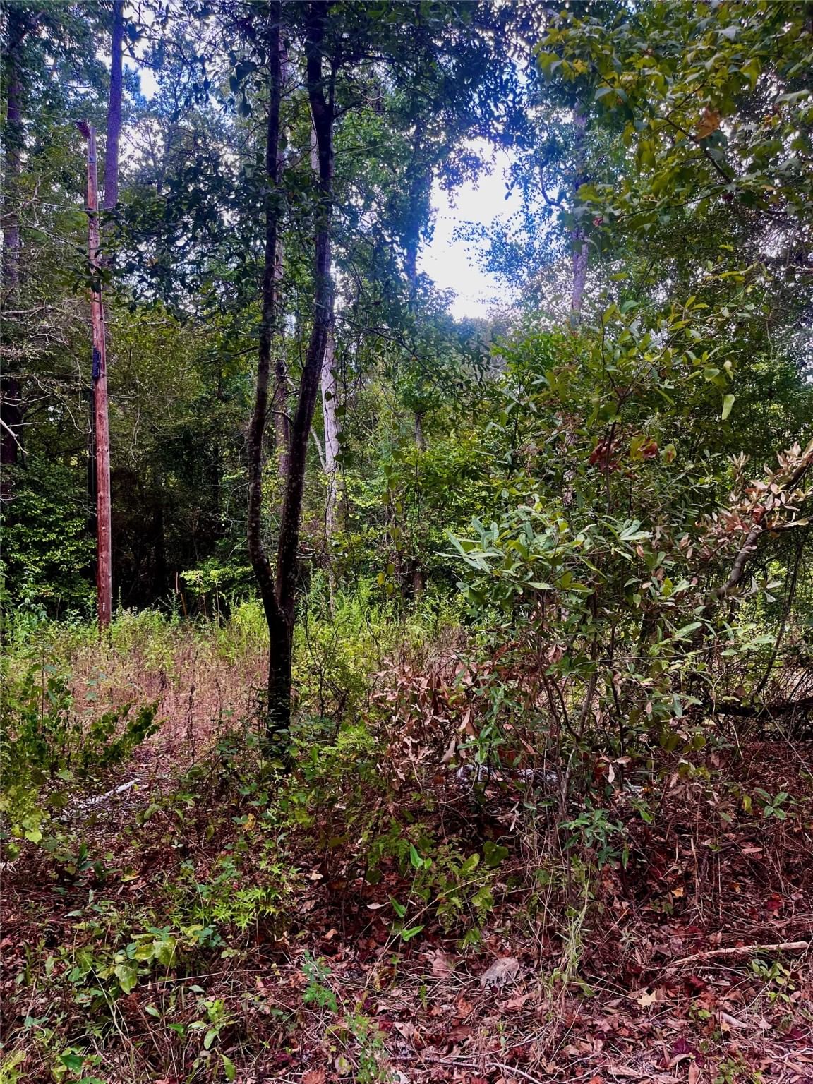 Real estate property located at 0 Big Foot Wallace, Polk, Livingston, TX, US