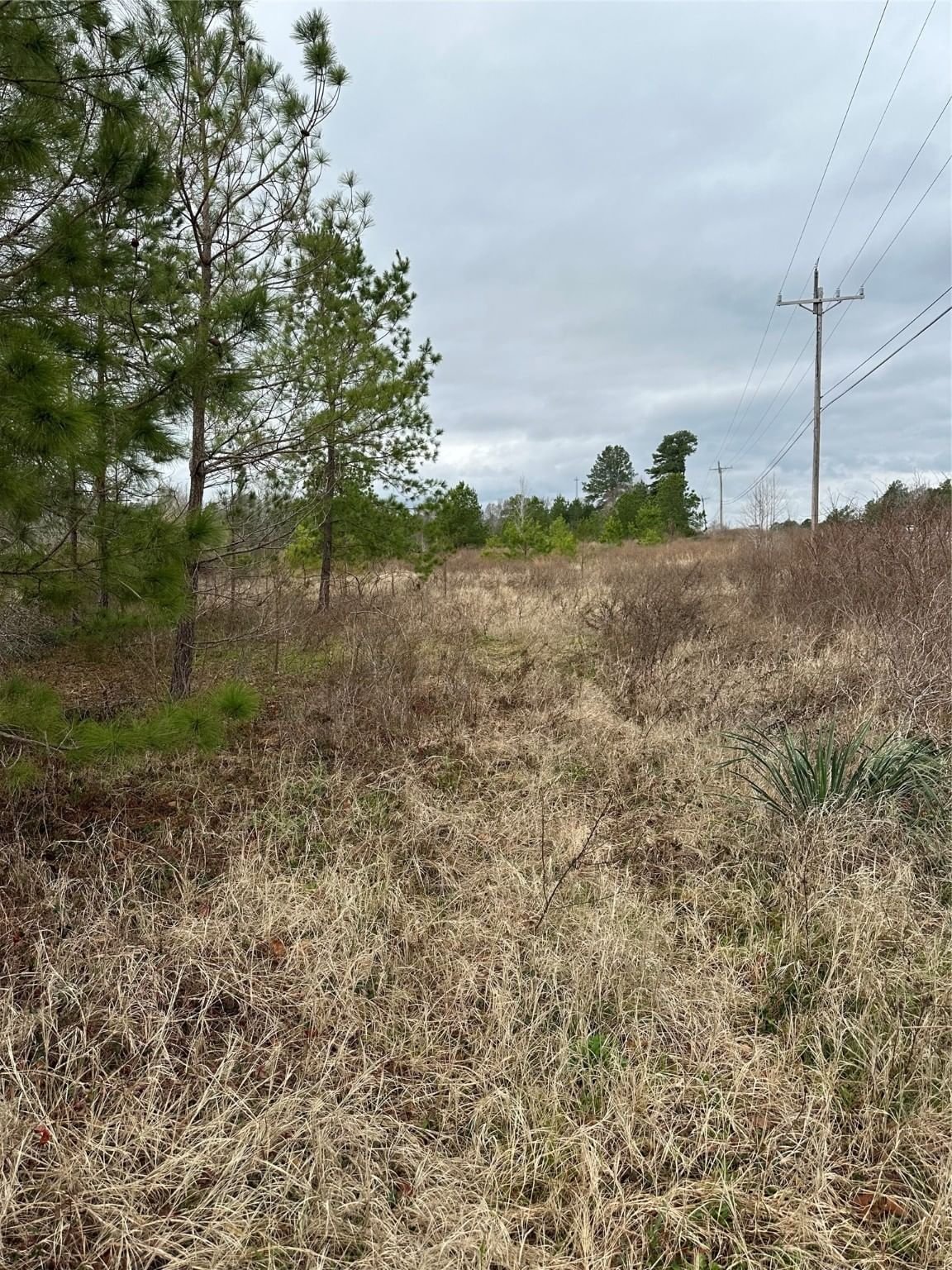 Real estate property located at TBD HWY 19 / Knox Cir, Walker, Doggett H (A-660) Tract 3, Acres 3.07, Huntsville, TX, US