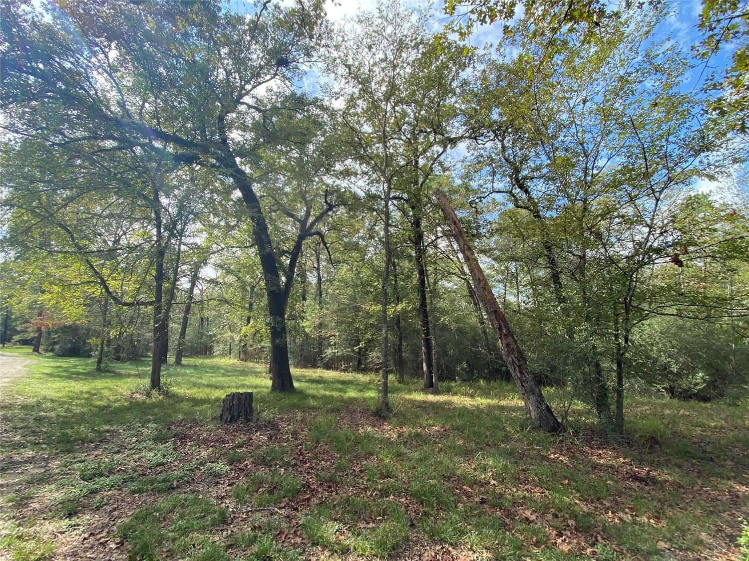 Real estate property located at TBD Overland Trail, Trinity, Oakdale Add, Trinity, TX, US