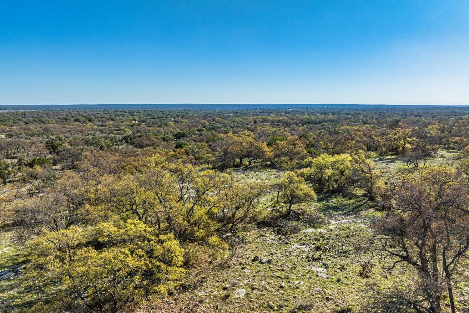 Real estate property located at 1225 Axis Trail, Schleicher, Freedom Trail Ranch, Eldorado, TX, US
