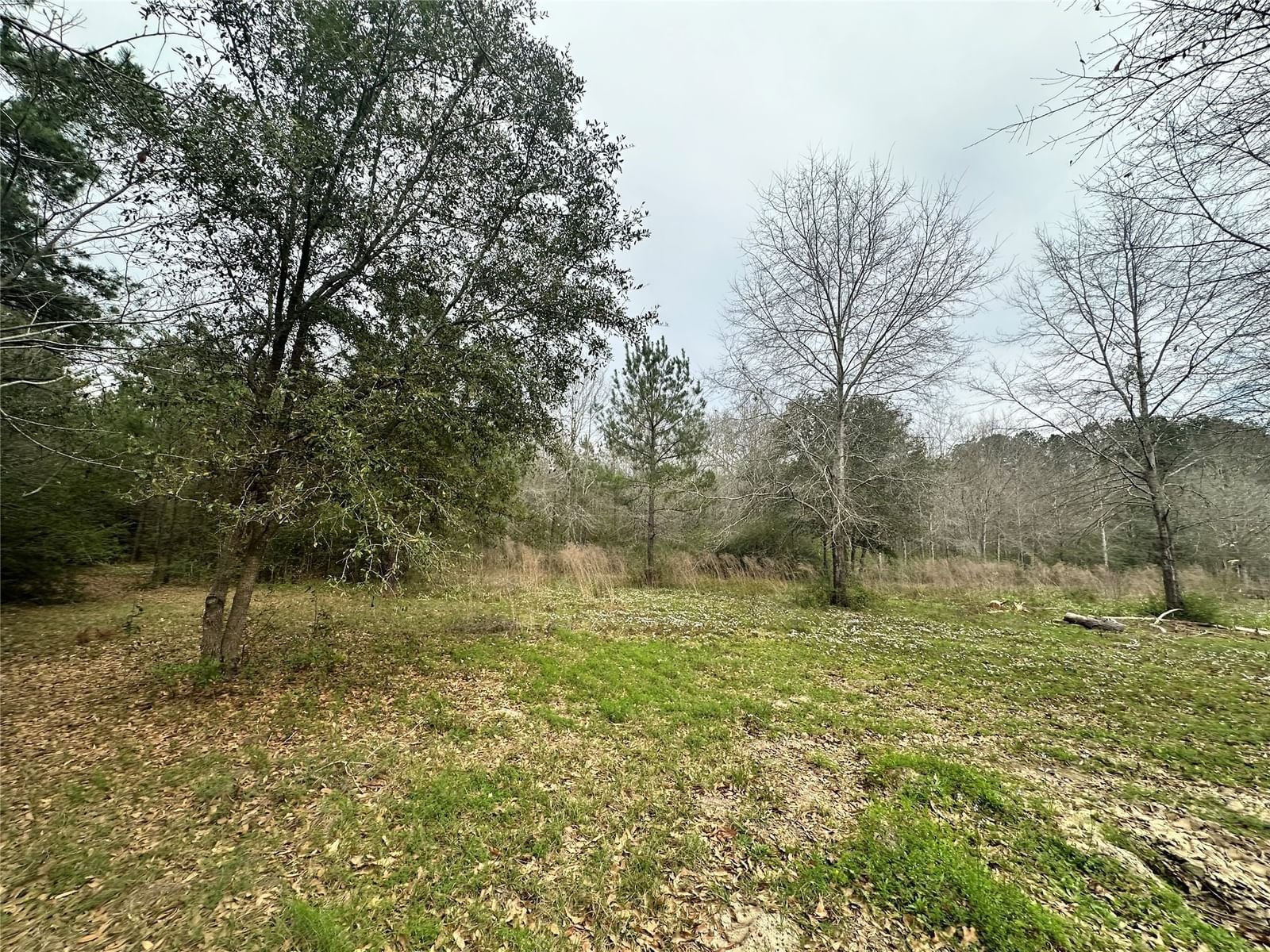 Real estate property located at TBD County Road 4755, Tyler, Warren Colony, Warren, TX, US