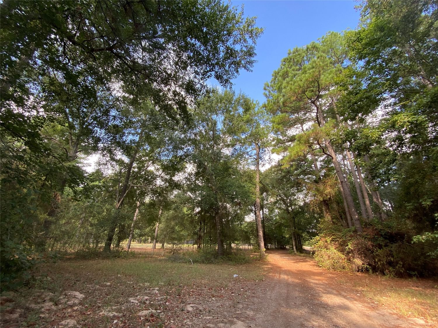 Real estate property located at 21131 Roberts Cemetery, Montgomery, none, Hockley, TX, US