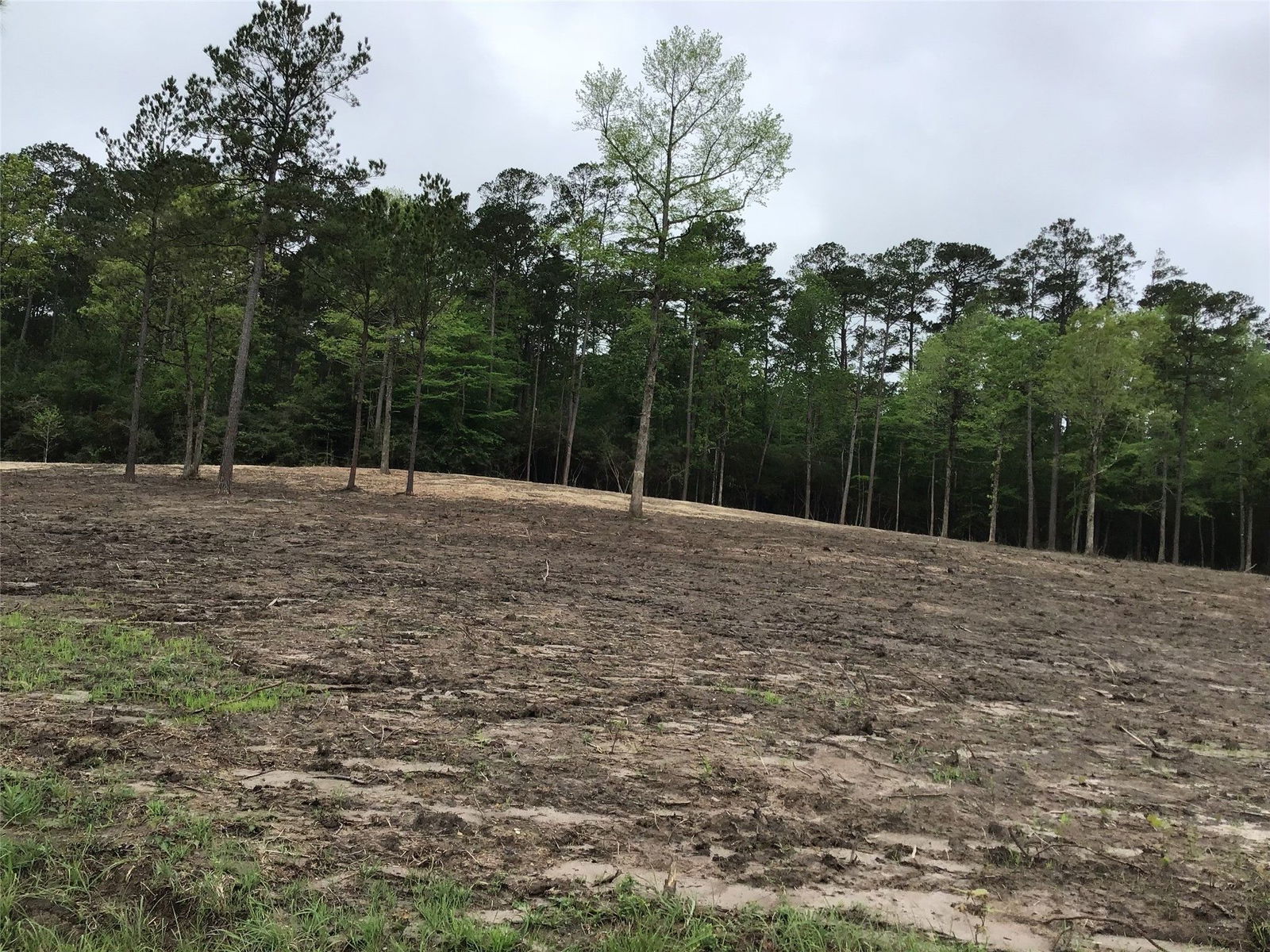 Real estate property located at 217 Jennifer, Newton, Burkeville, TX, US