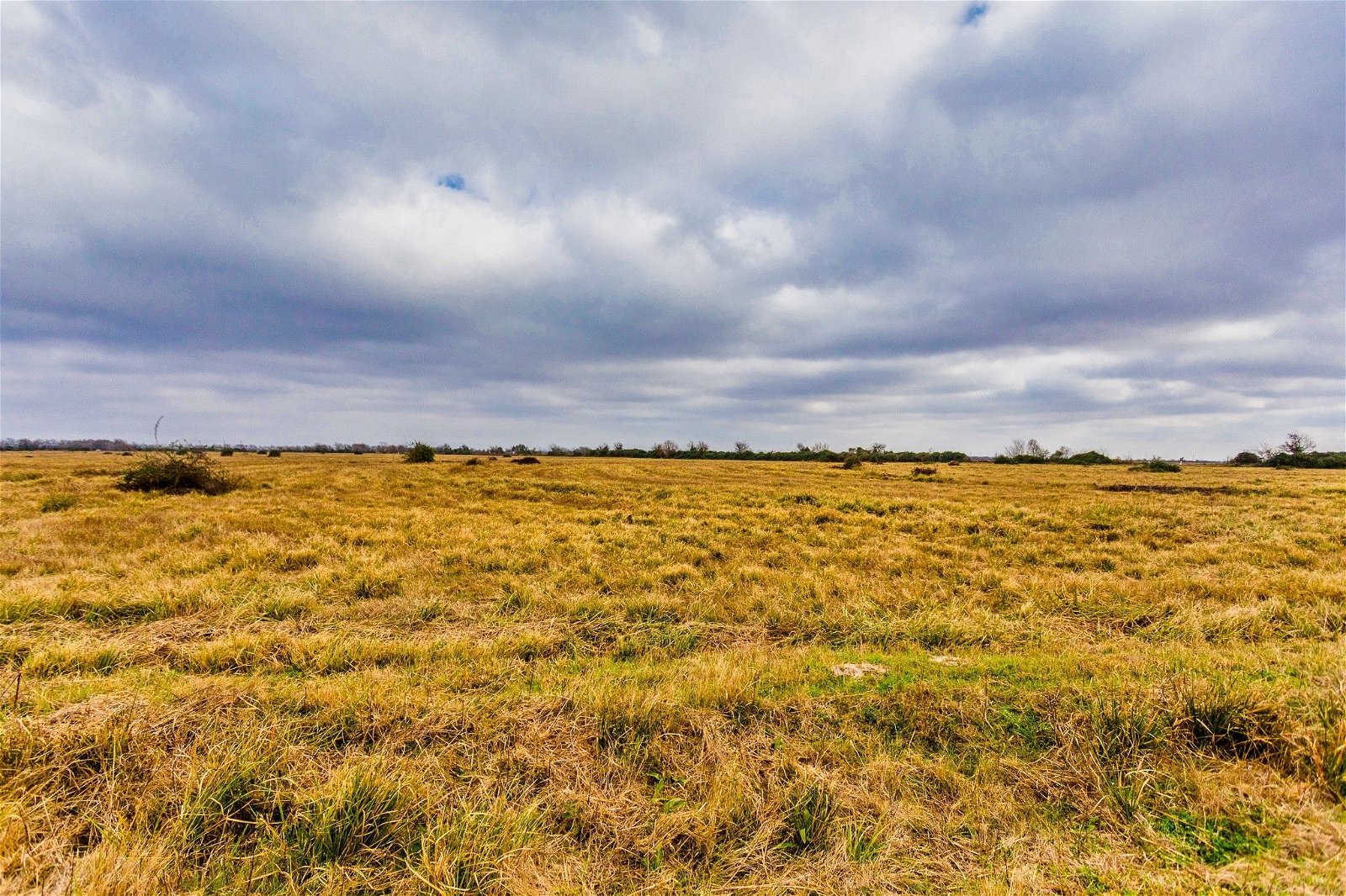 Real estate property located at TBD tract 1 CR 210, Colorado, Duck Haven, Eagle Lake, TX, US
