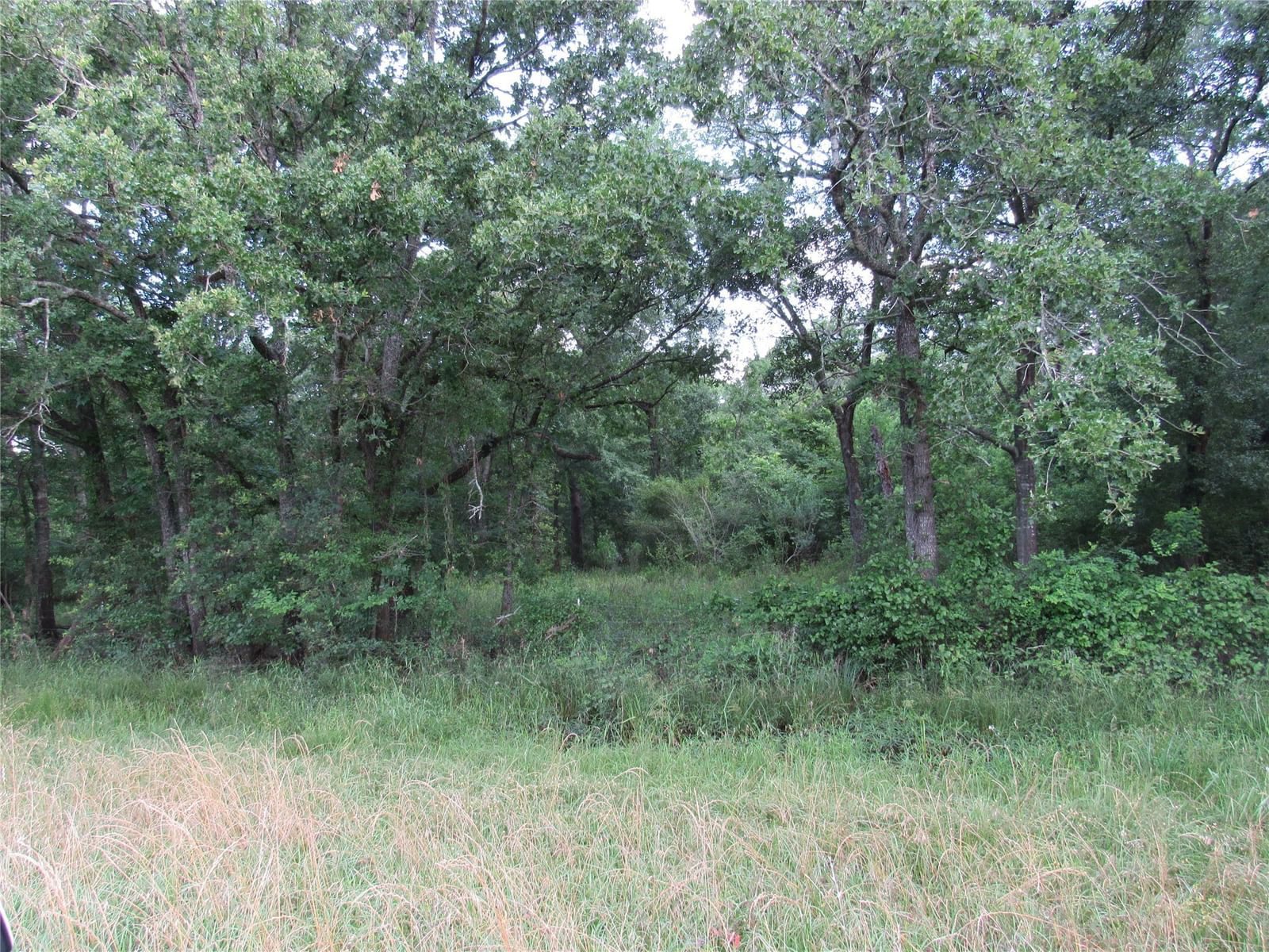 Real estate property located at 30090 Joseph RD, Walker, G W Clary, Hockley, TX, US