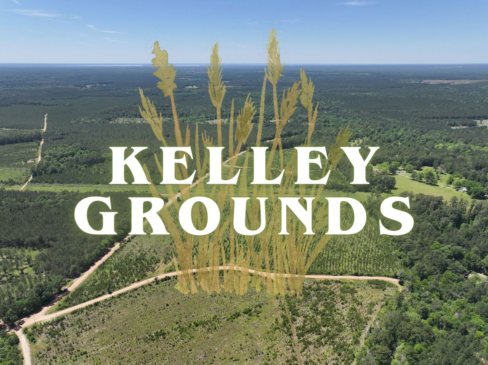 Real estate property located at 2-2 L Kelley Road, Polk, Kelley Grounds, Livingston, TX, US