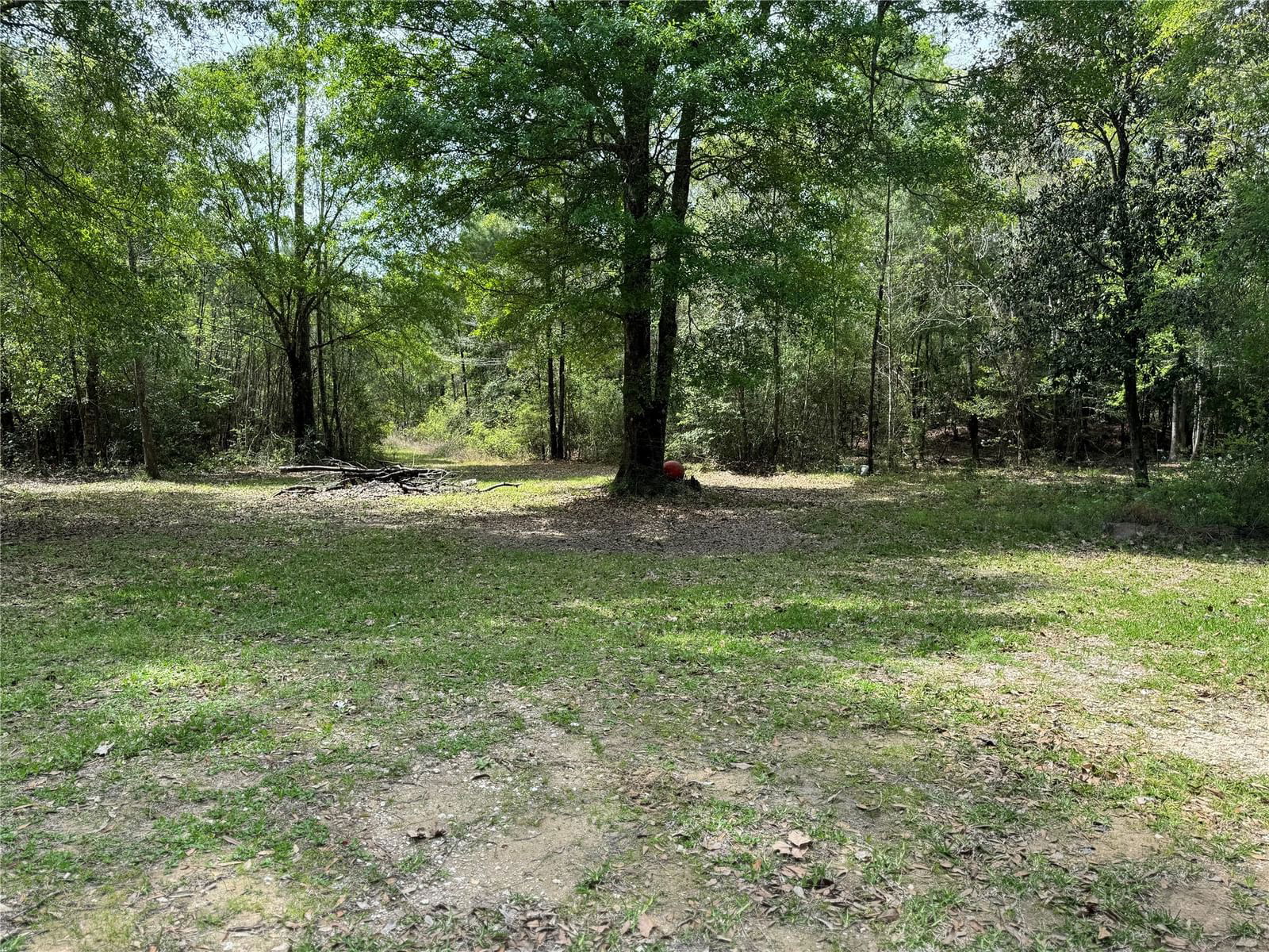 Real estate property located at 10586 Holland Road, Hardin, Other, Kountze, TX, US