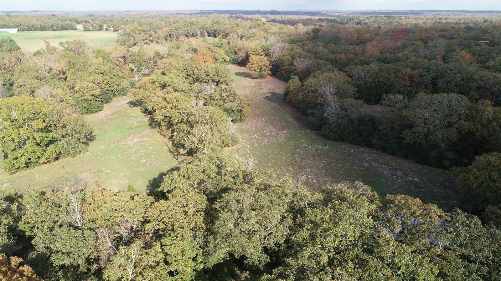 Real estate property located at 15 Acres County Road 224, Leon, Richard Hairston Surv A #348, Oakwood, TX, US