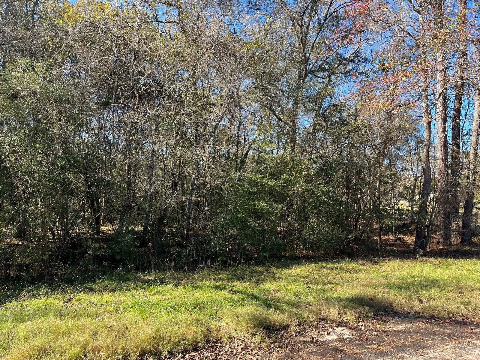 Real estate property located at 0 County Road 3998,, Liberty, PINE FOREST, Cleveland, TX, US