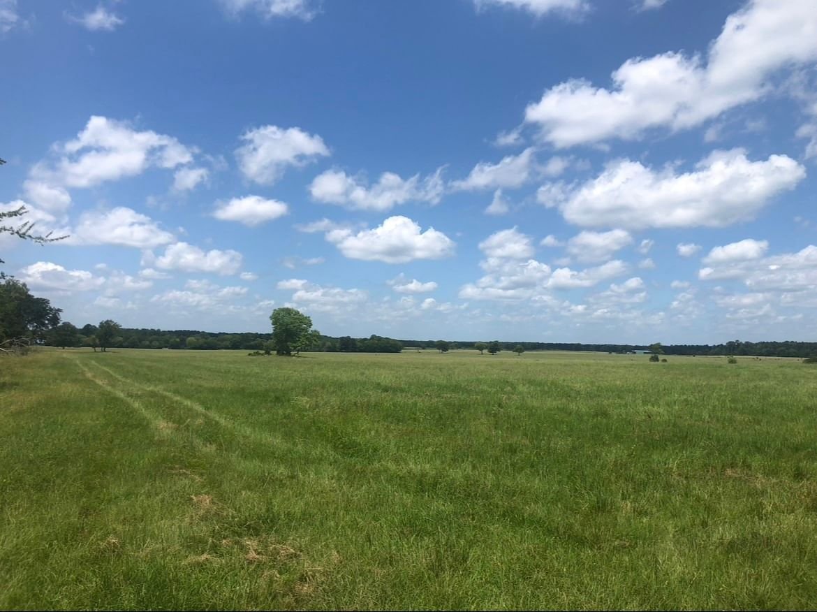 Real estate property located at TBD County Road 4625, Houston, View Agent Remarks, Kennard, TX, US