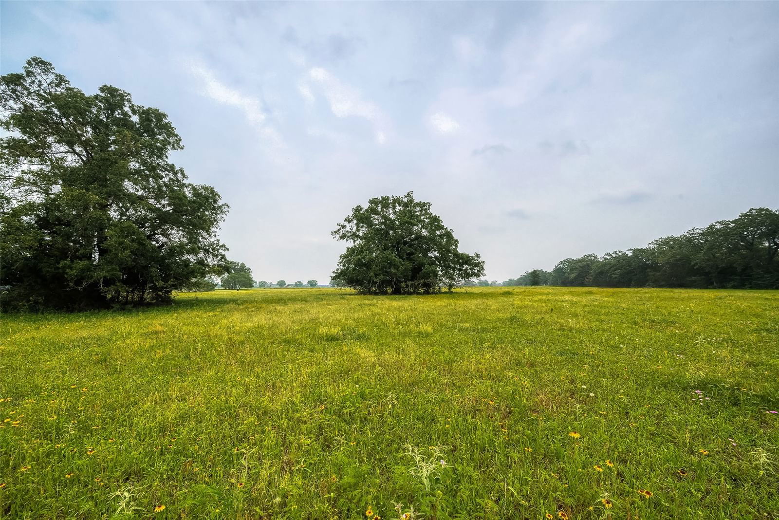 Real estate property located at TBD Fellowship, Madison, A0173 - A J MORGAN, Madisonville, TX, US