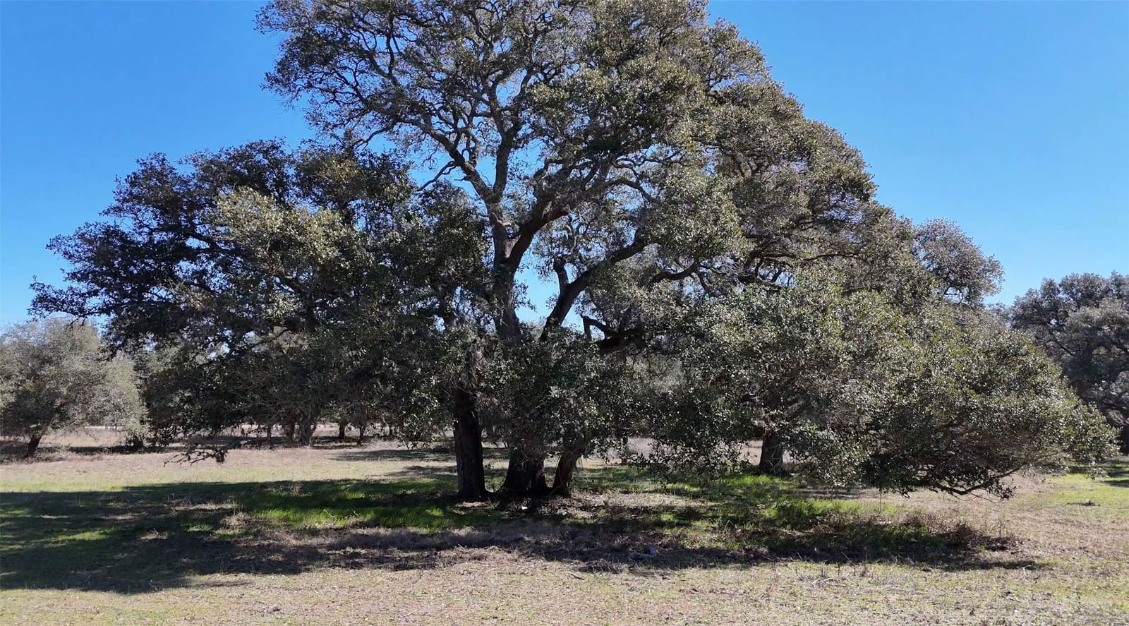 Real estate property located at 00 Shore Bird, Colorado, Wild Wing Preserve, Columbus, TX, US