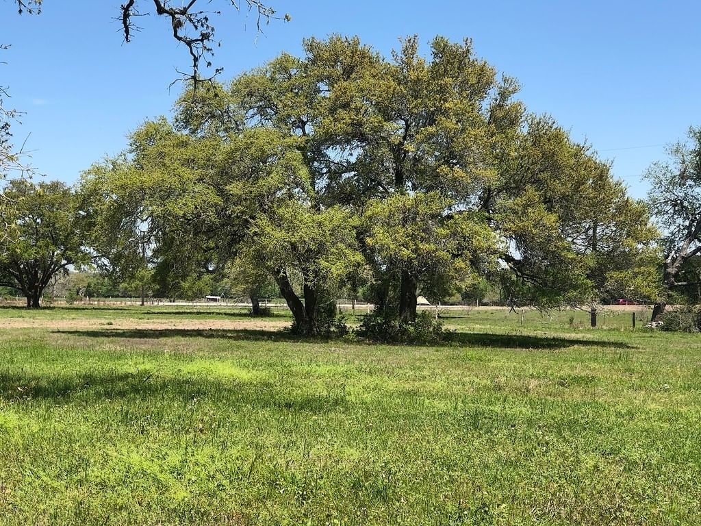 Real estate property located at Lot 6 PVT 1671, Lavaca, Whispering Oaks, Hallettsville, TX, US