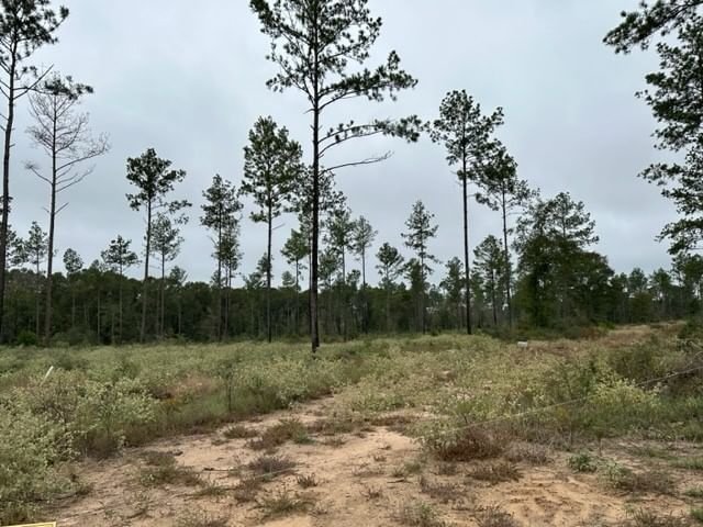 Real estate property located at 873 Red Lowe, Polk, Rolling Pines Sec 3, Livingston, TX, US