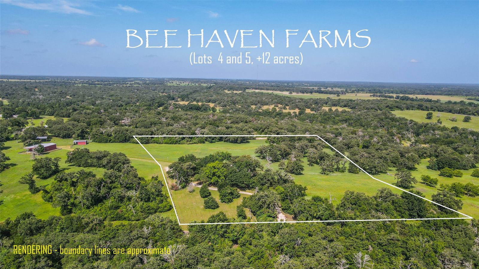 Real estate property located at 5591 County RD 315 -12 acs, Burleson, Bee Haven Farms, Caldwell, TX, US