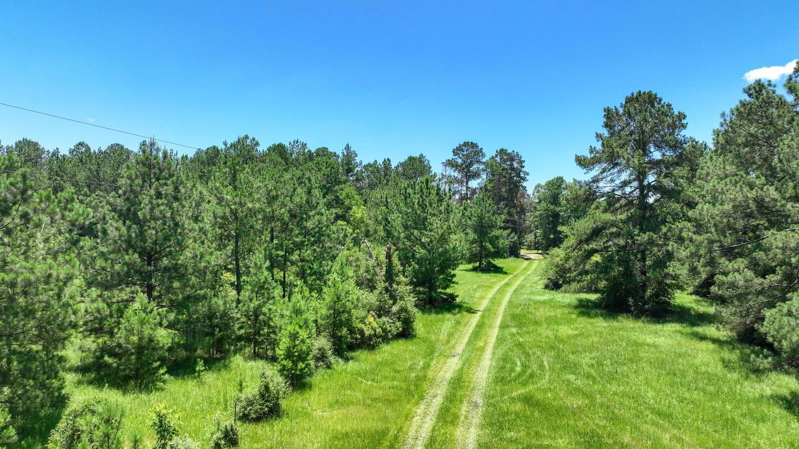 Real estate property located at TBD 1 County Road 4390, Tyler, NA, Hillister, TX, US