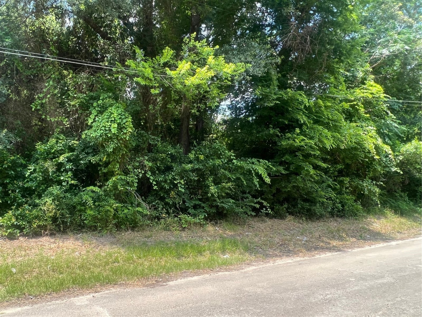 Real estate property located at 0000 Carver St, Angelina, Lufkin, TX, US