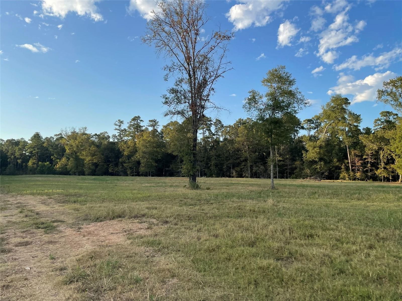 Real estate property located at TBD Farm Road 3126, Polk, N/A, Livingston, TX, US