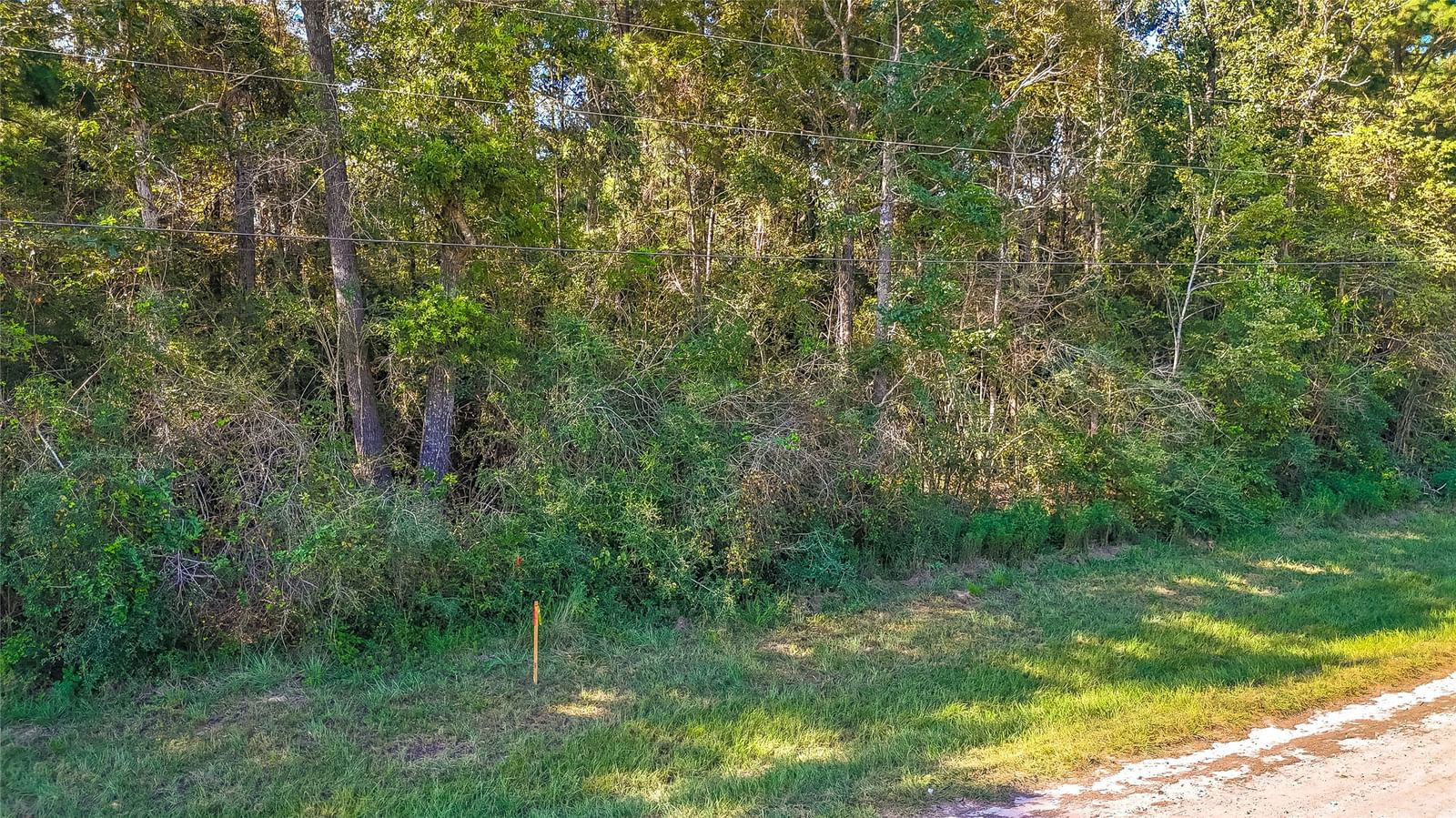 Real estate property located at TBD 24 Timbergrove, Polk, Forest Spgs, Livingston, TX, US