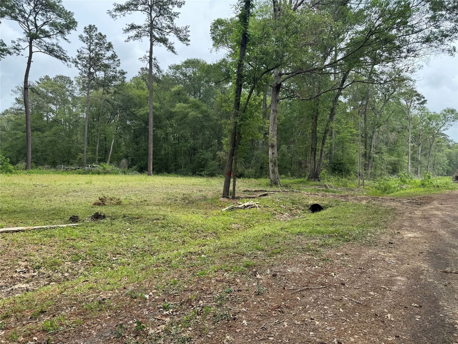 Real estate property located at TBD Constantine Dr, Montgomery, Roman Forest 02, New Caney, TX, US