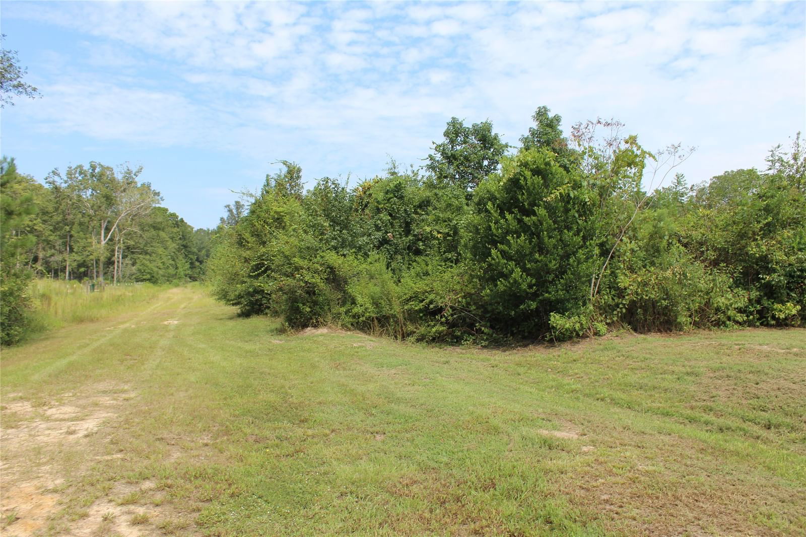 Real estate property located at TBD Oaklawn, Polk, Magnolia Woods Sec 2, Livingston, TX, US