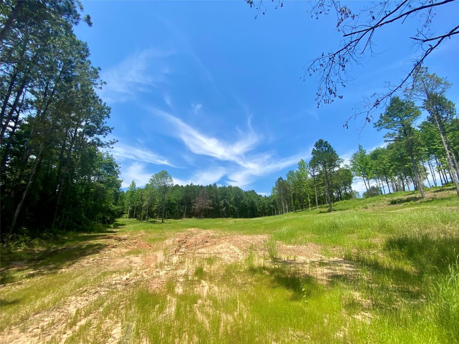 Real estate property located at TBD County Road 3103, Smith, na, Gladewater, TX, US