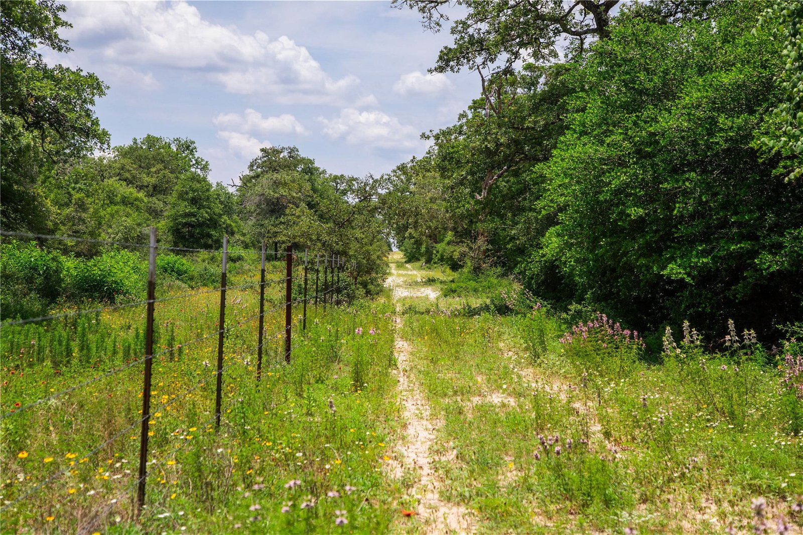 Real estate property located at TBD County Road 308A, Burleson, 0, Caldwell, TX, US
