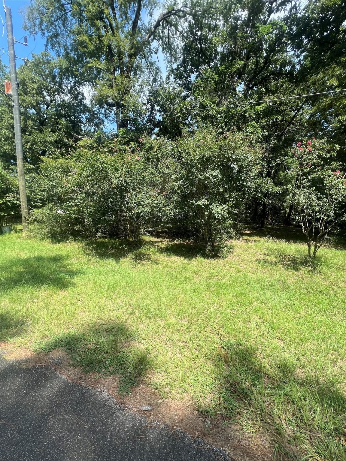 Real estate property located at 02 Sea Turtle Ln, Montgomery, Dogwood Hills 04, Magnolia, TX, US