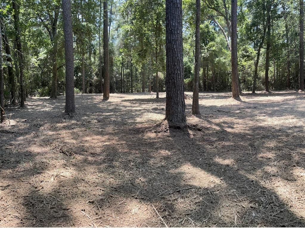 Real estate property located at TBD Lot 12 Roman Forest, Montgomery, Roman Forest 03, Roman Forest, TX, US