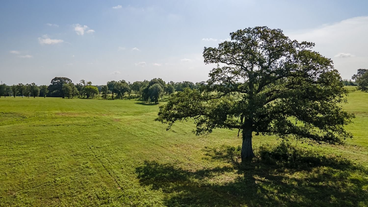 Real estate property located at TBD Tract 2 Vz County Road 1905, Van Zandt, Fruitvale, TX, US